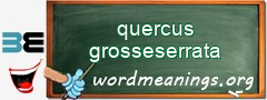 WordMeaning blackboard for quercus grosseserrata